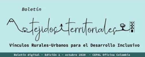 Primer Boletín Tejidos territoriales CEPAL