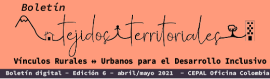 S+eptimo Boletín Tejidos territoriales CEPAL