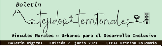 S+eptimo Boletín Tejidos territoriales CEPAL