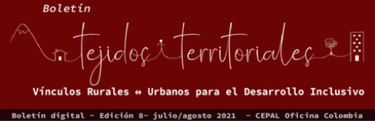 Noveno Boletín Tejidos territoriales CEPAL