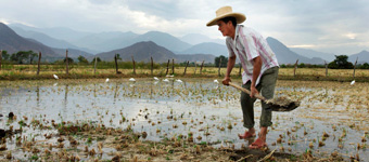 Cambio climático