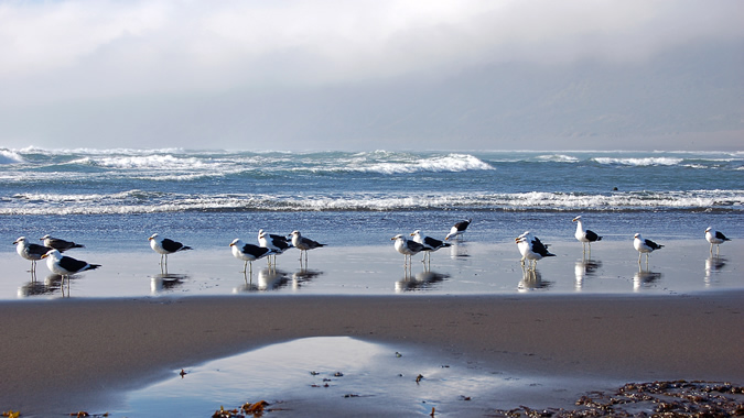 foto de la costa chilena