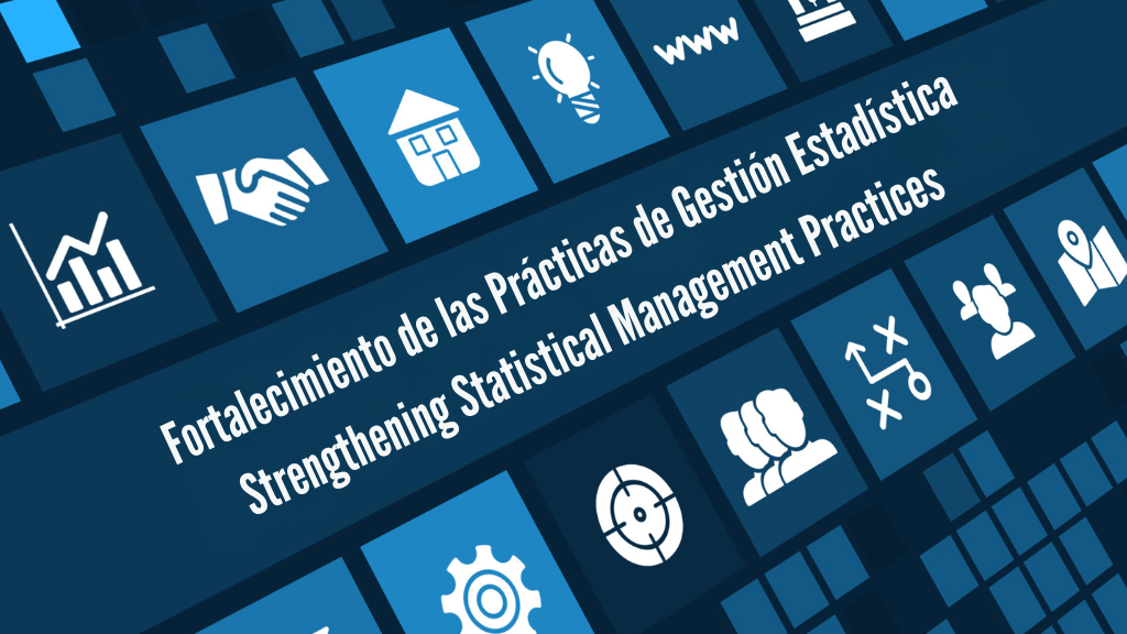 banner_fortalecimiento-gestion-estadistica_nov2015.png