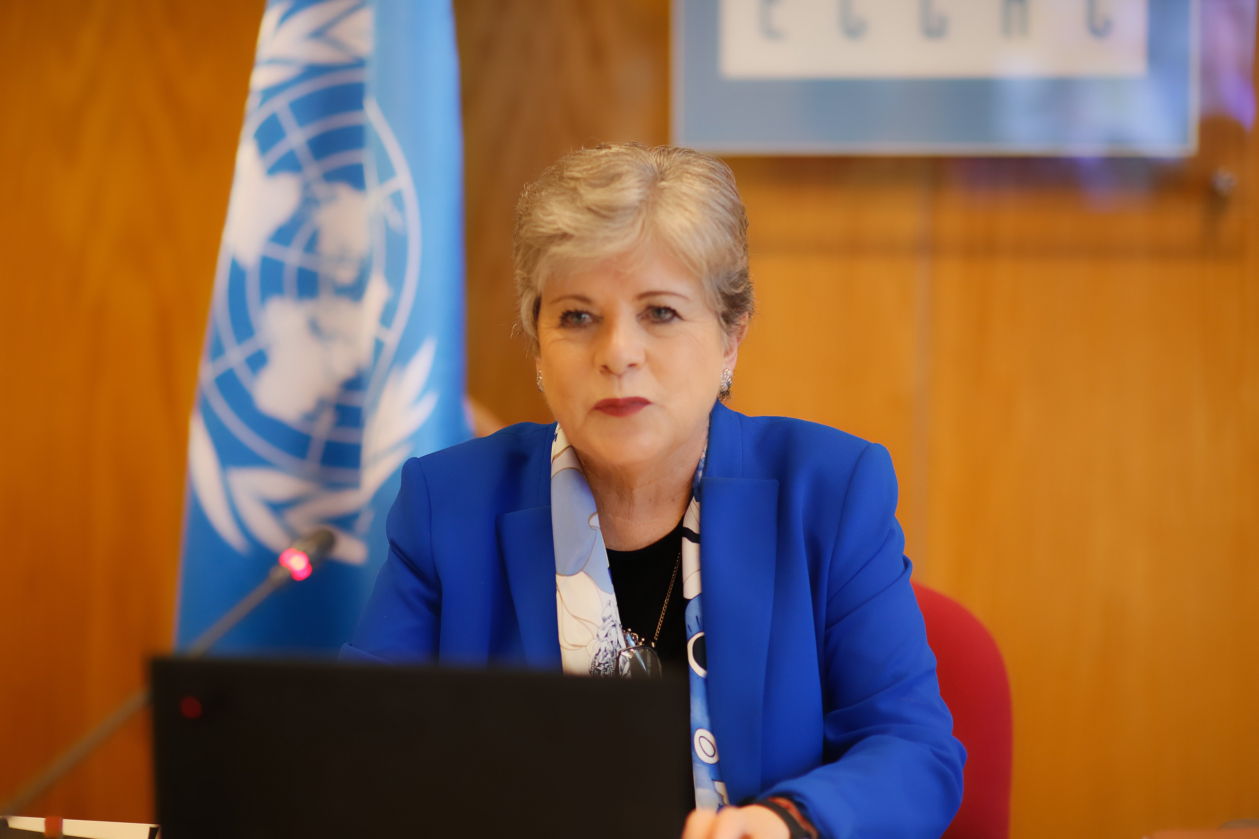 Alicia Bárcena, Secretaria Ejecutiva de la CEPAL