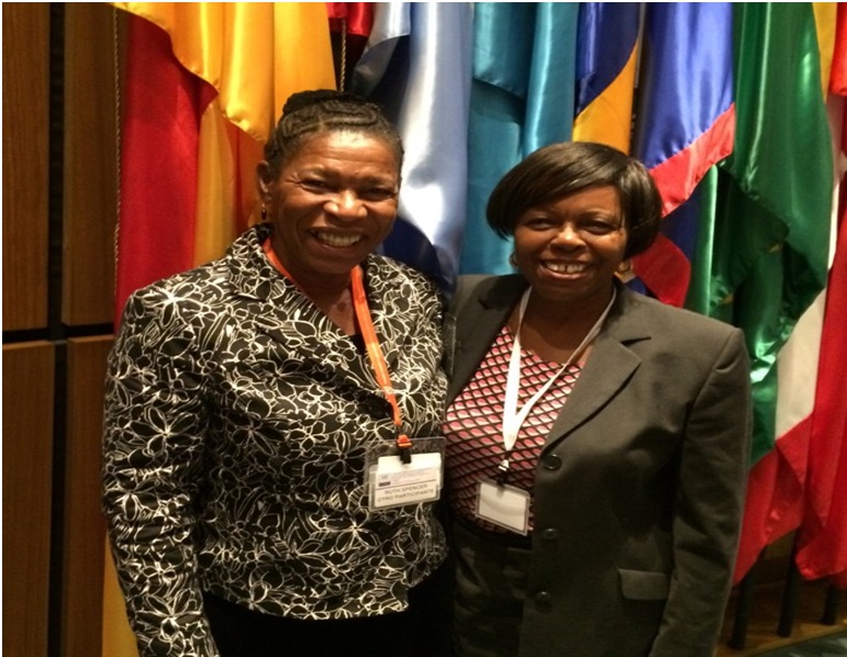 The delegates of Antigua and Barbuda at the first meeting of the Negotiating Committee