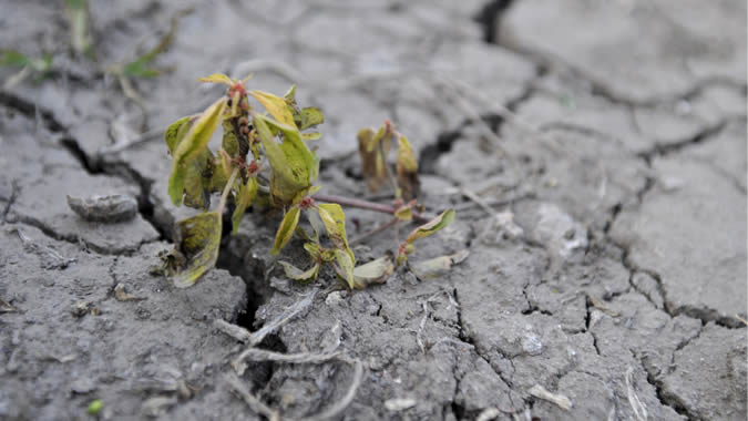 cambio climático