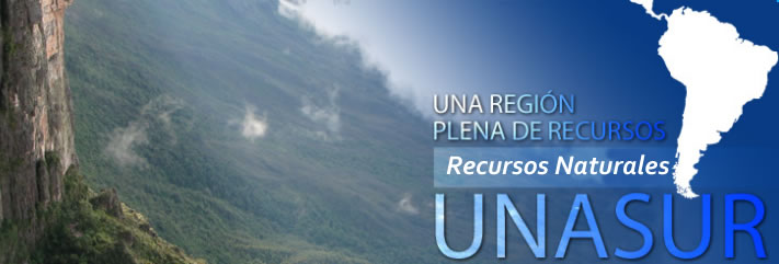 Banner UNASUR recursos naturales