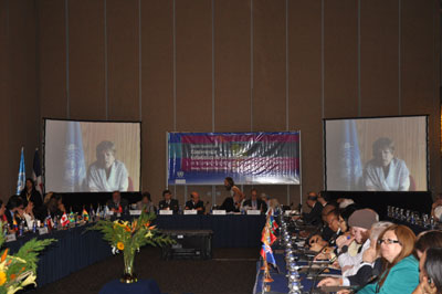 Delegados de 28 países de América Latina y el Caribe y representantes  de organismos internacionales asisten a la Sexta reunión de la Conferencia Estadística de las Américas de la CEPAL (CEA-CEPAL).