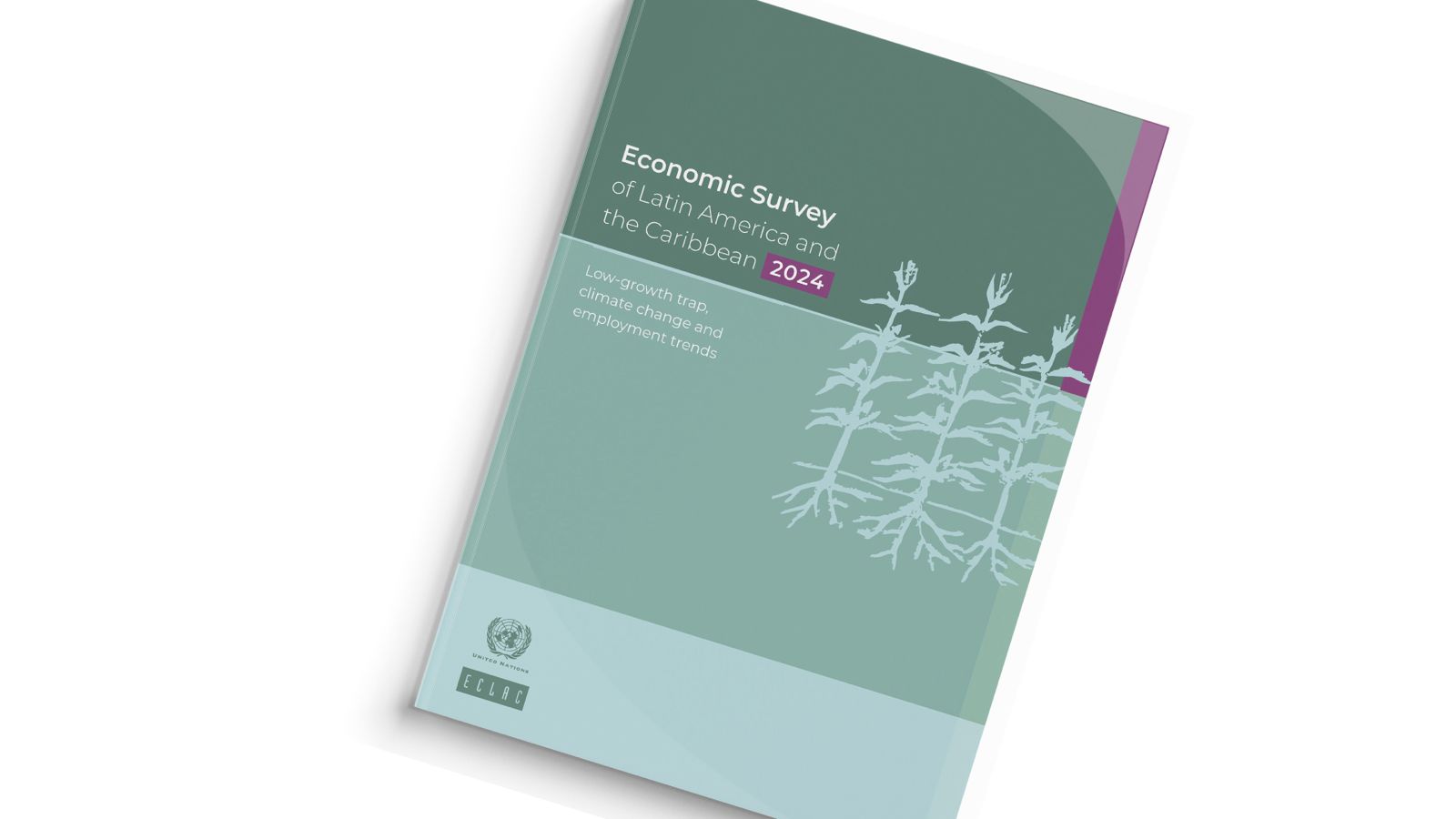 Cover Economic Survey of LAC 2024 ENG