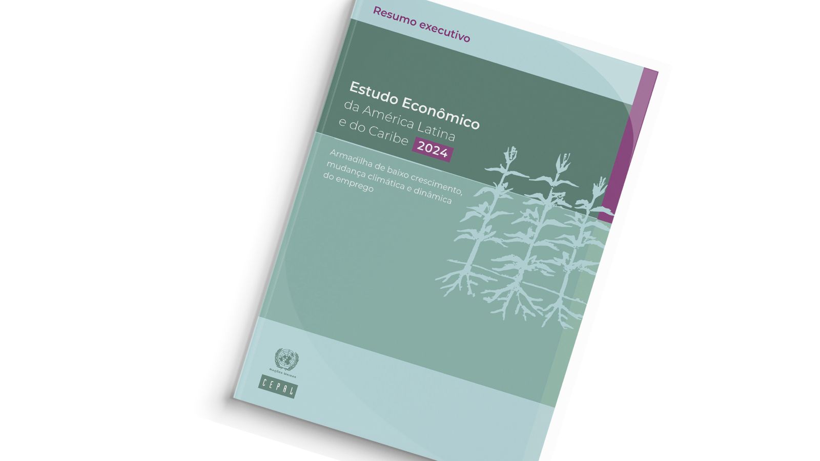 Portada Estudo Econômico da América Latina e o Caribe 2024 PORT