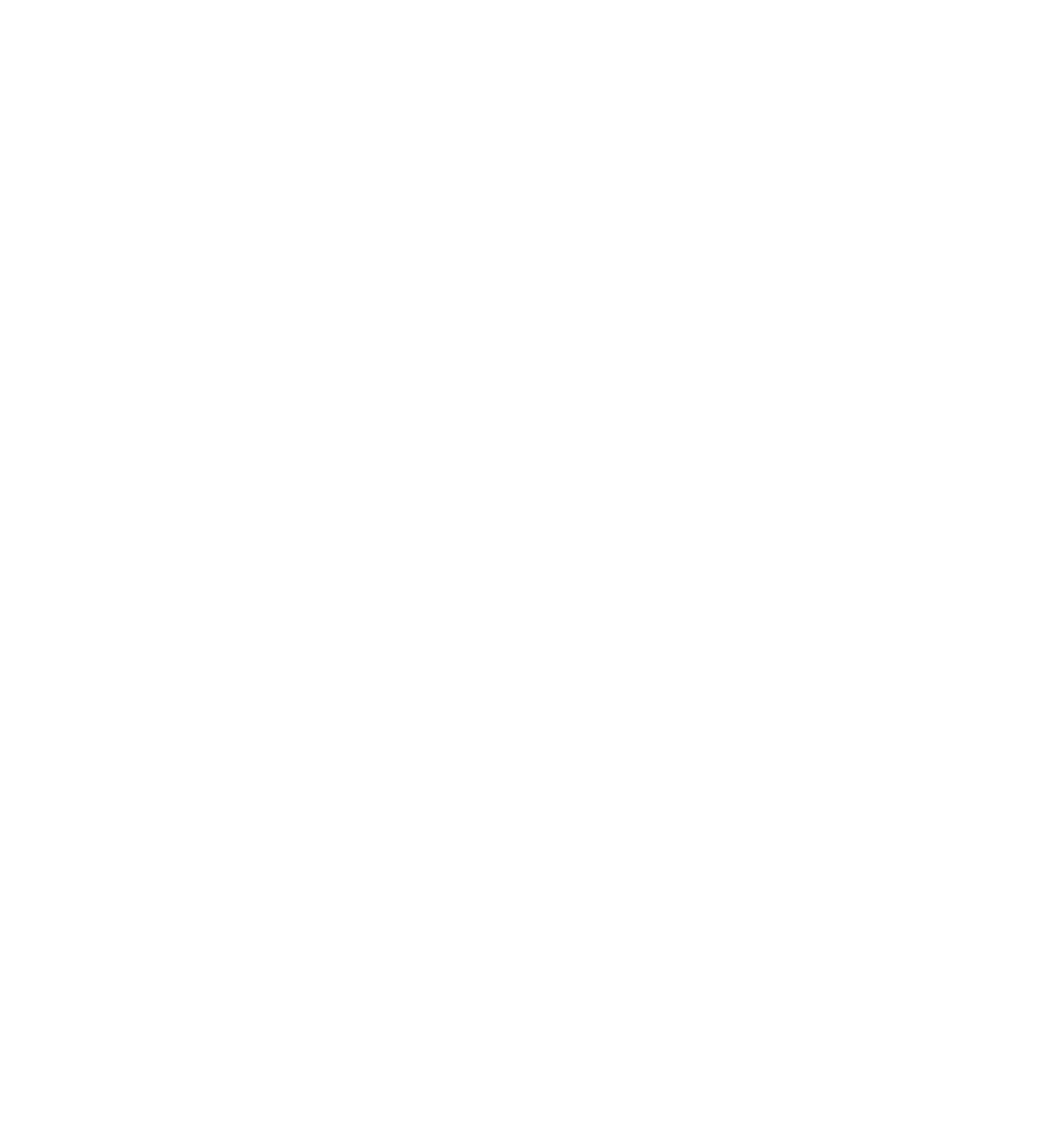 Foro Permanente de Diálogo Técnico del Litio