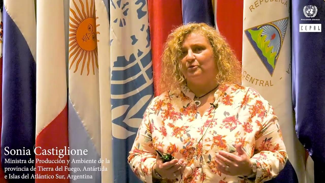 Video Sonia Castiglione - Taller desarrollo productivo Argentina (9 de agosto, 2022)