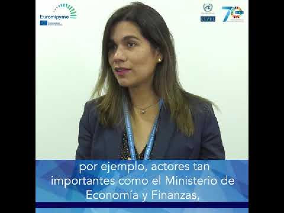 Taller Euromipyme – Entrevista a Katia Samanamud, CITE, Perú