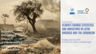 banner_webinario-estadisticas-cambio-climatico_18jun2024_eng.png