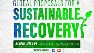 Global proposals for a sustainable recovery