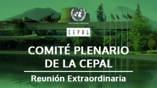 comite Plenario reunionextraordinaria