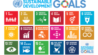 SDGs