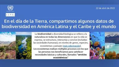 Banner biodiversidad ok