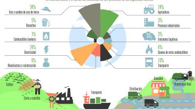 Infografía sobre huella de carbono