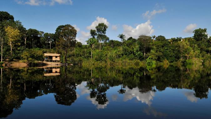 Foto de bosque y lago