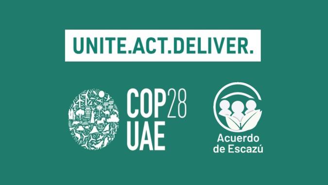 cop28