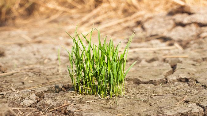 cambio climático