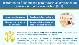 Instrumentos Económicos para reducir las emisiones de Gases de Efecto Invernadero (GEI)