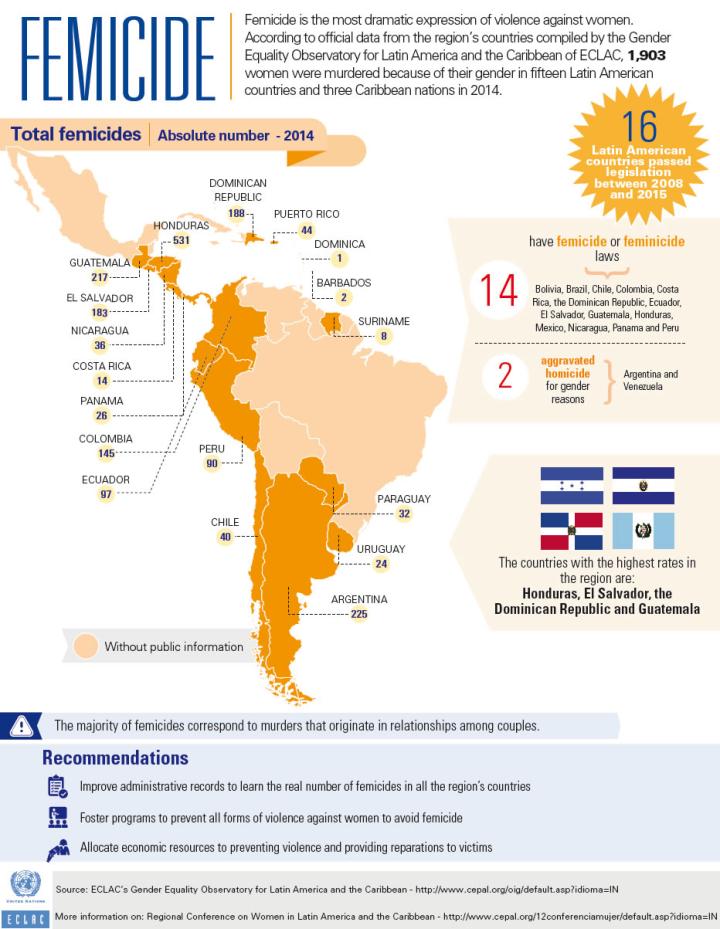 Femicide Economic Commission for Latin America and the Caribbean
