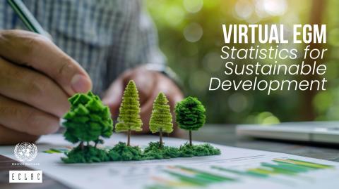 Virtual Expert Group Meeting - Statistics for Sustainable Development