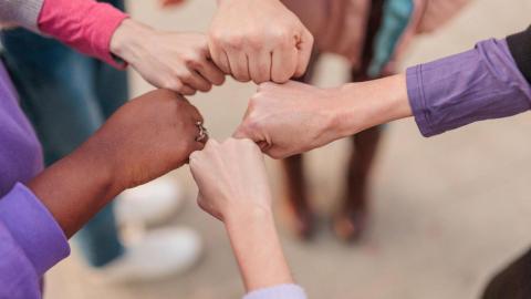 photo of women's fists together