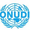 Organización de las Naciones Unidas para el Desarrollo Industrial