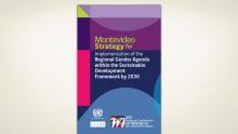 Montevideo Strategy cover page
