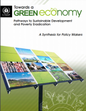 Towards a Green Economy: Pathways to Sustainable Development and Poverty Eradication