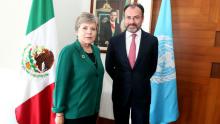 La Secretaria Ejecutiva de la CEPAL, Alicia Bárcena, y el Secretario de Relaciones Exteriores de México, Luis Videgaray, en una reunión celebrada el 27 de febrero de 2017 en Ciudad de México.