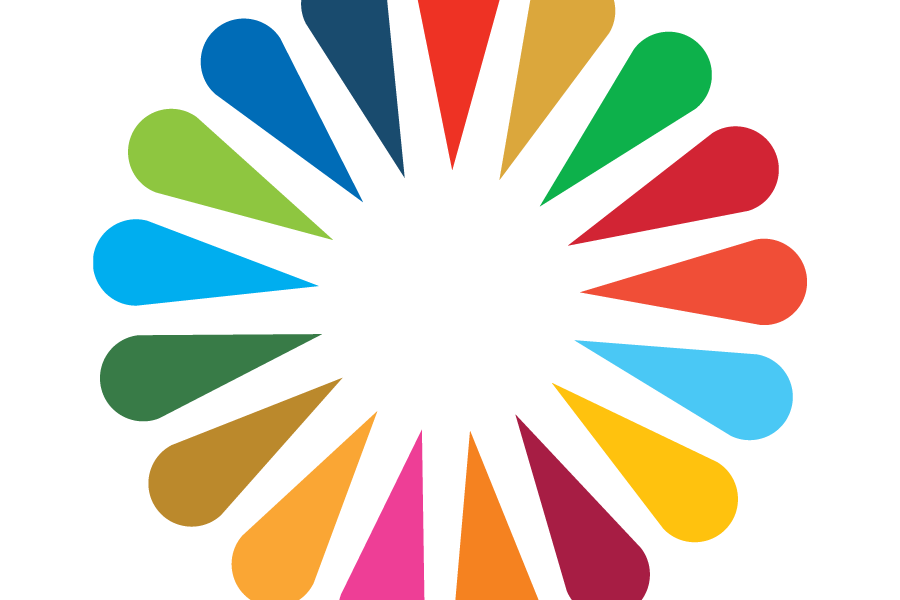 Logo colores SDG