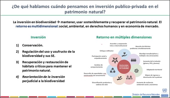 Inversión público privada en el patrimonio natural